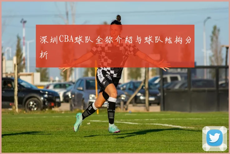 深圳CBA球队全称介绍与球队结构分析