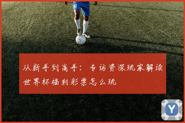 从新手到高手：专访资深玩家解读世界杯福利彩票怎么玩