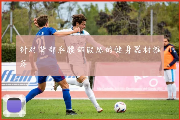 针对背部和腰部锻炼的健身器材推荐